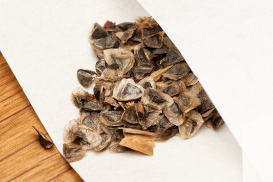 Frø af Bitter aloe (Aloe ferox) i lille hvid papirspose