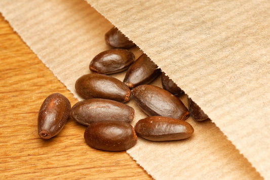 Frø af Sumpæble (Annona glabra) i fin brun papirspose