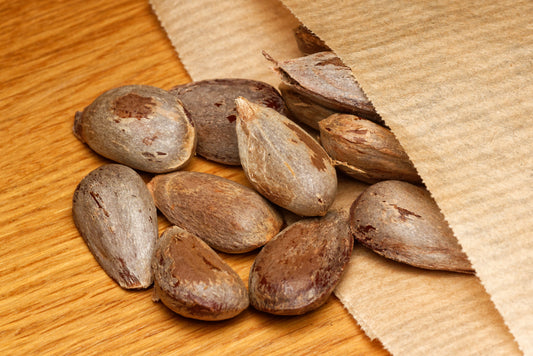 De fine frø af Soncoya (Annona purpurea) i lille brun papirspose