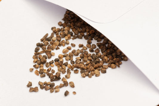 De små frø af Kæmpe mammutblad (Gunnera manicata) i lille hvid papirspose