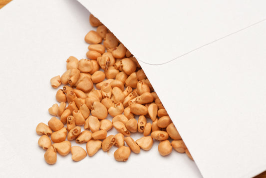 Frø fra Rød Guava (Psidium guajava "Colombian red")