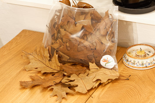 Vissna blad, röd ek (ca 2 liter)