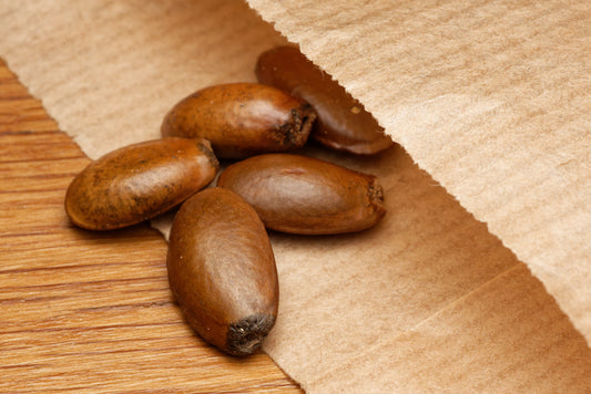 Frø fra Pigget graviola (Annona muricata)