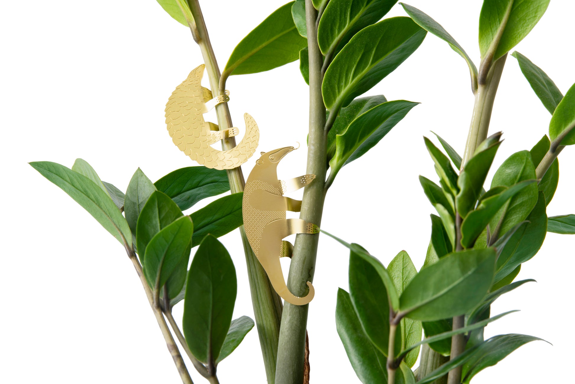 Myresluger og bæltedyr som små messinge figurer i en plante