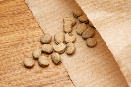 Frø fra Ginseng (Panax ginseng)