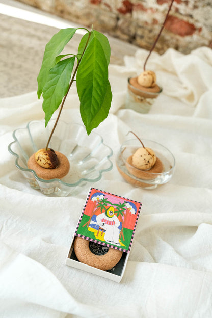 Avocado-flyder
