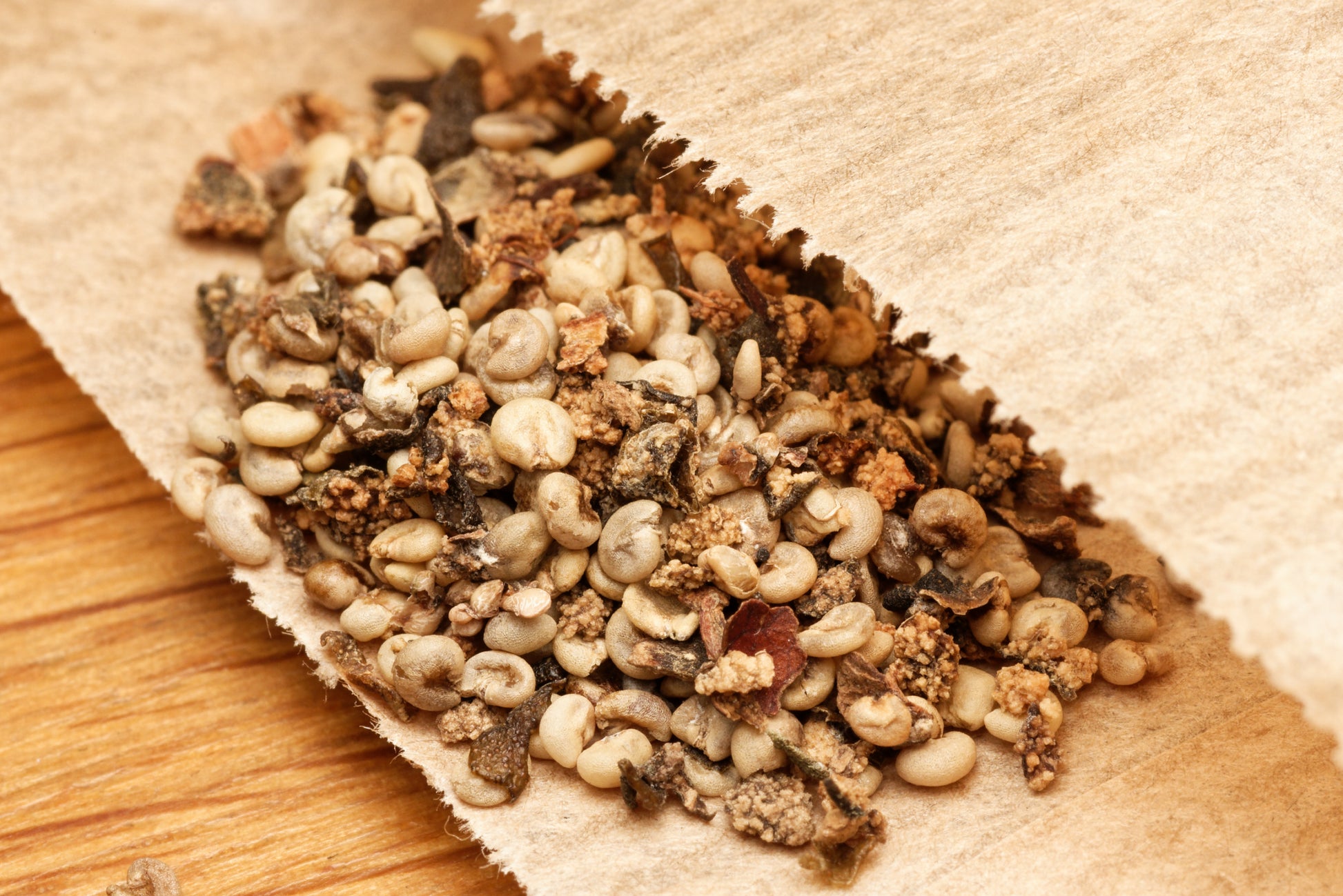 Bunke af Feijoa (Acca sellowiana) frø i en brun papirspose