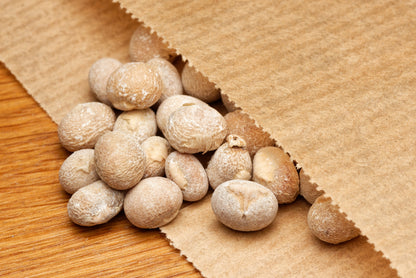 Frø fra Sydafrikansk drageplante (Dracaena aletriformis) i en fin papirspose