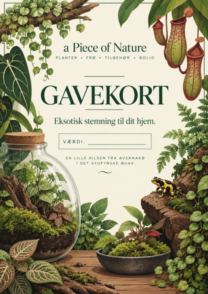 Gavekort til a Piece of Nature med terrarietema