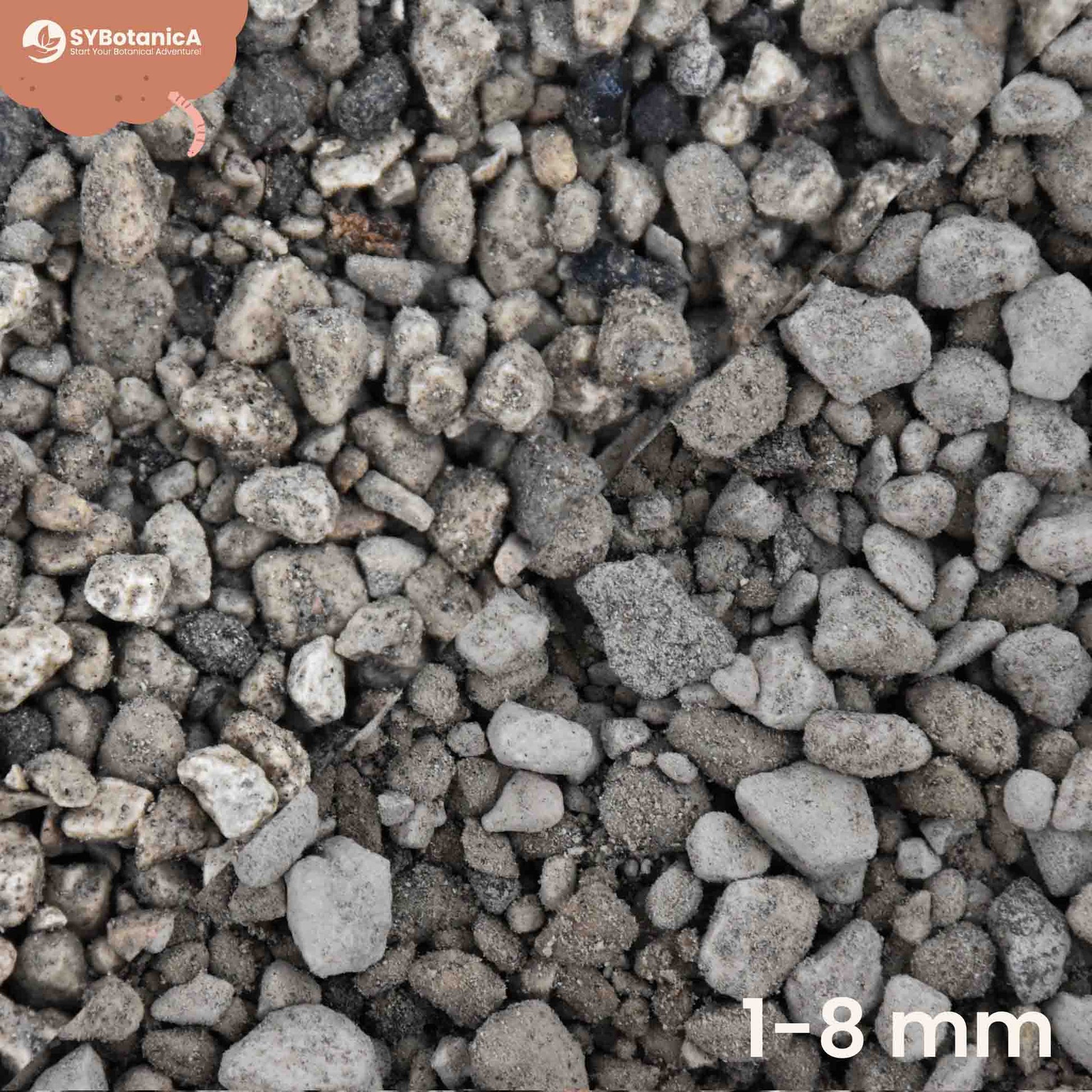 Nærbillede af pumice eller pimpsten