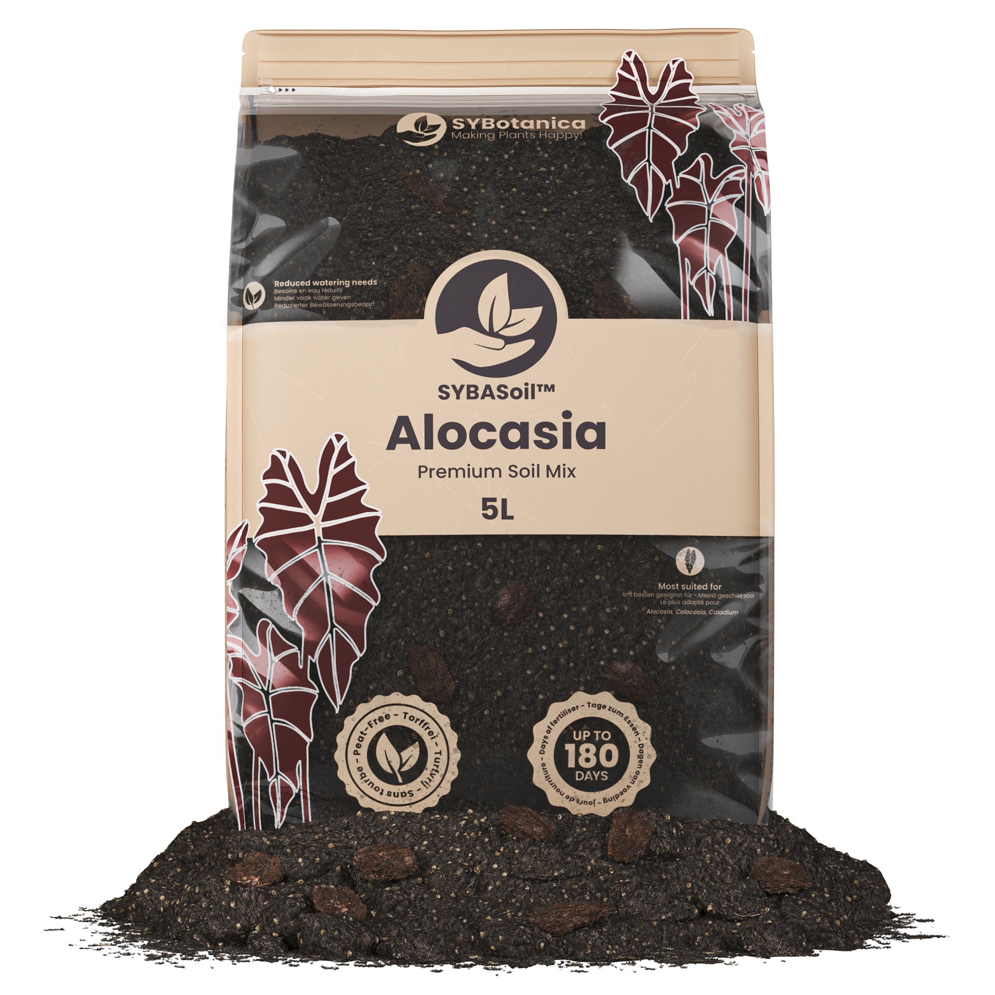 Fin pose med jord til Alocasia planter